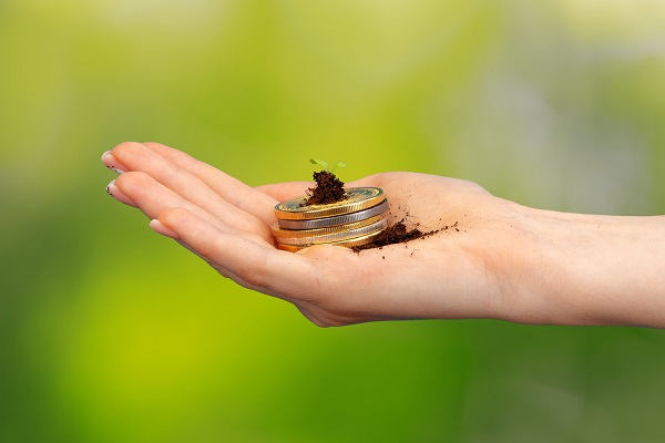 Hand holding a stack of coins and seedlings