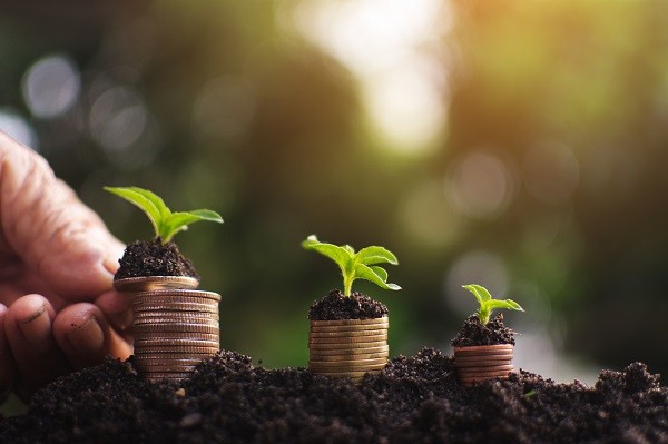 Seedlings on top of stacks of coins and soil