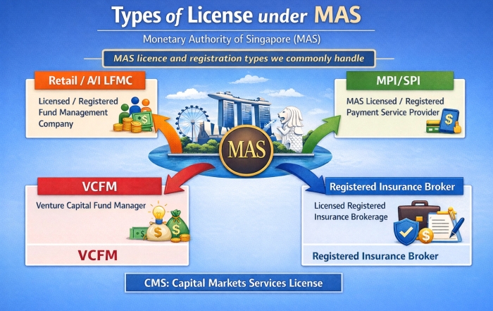 Types of CMS License