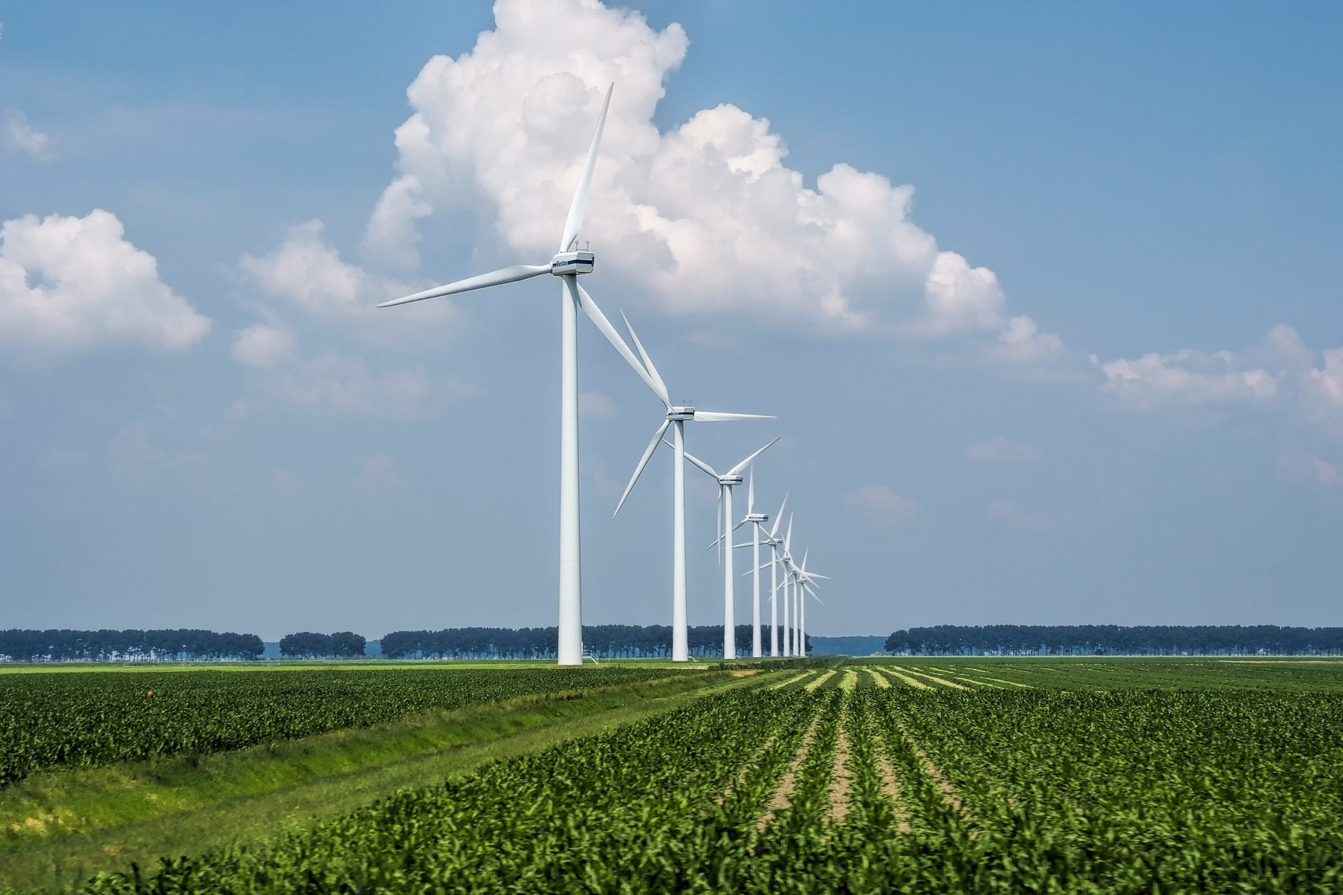 Wind turbines in a sustainable energy landscape representing environmental, social and governance (ESG) consulting services.